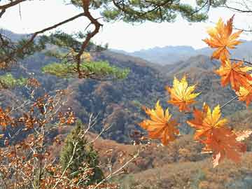 青岛自助游最新攻略｜青岛自由行指南全解析