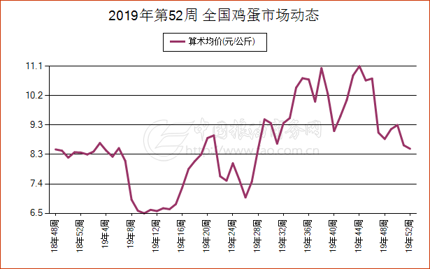 今日河南鸡蛋市场价格动态