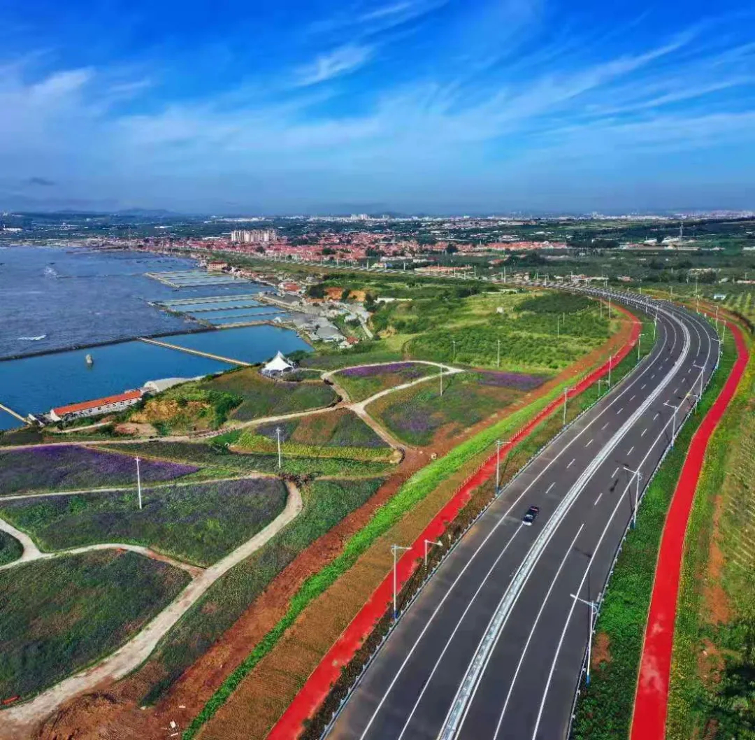 蓬莱滨海美景初现，建设新篇共赏盛景