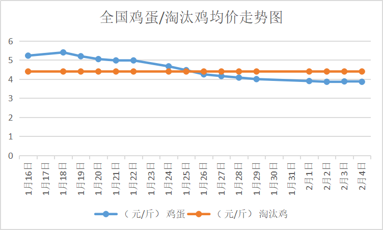 辽阳鸡蛋市价速览