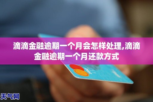 “滴滴最新动态：事件进展报道”